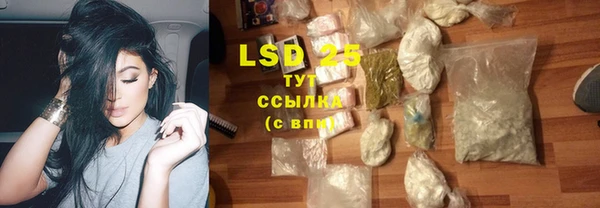 ПСИЛОЦИБИНОВЫЕ ГРИБЫ Каменногорск