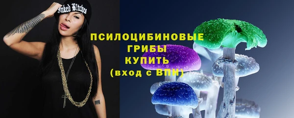 ПСИЛОЦИБИНОВЫЕ ГРИБЫ Каменногорск