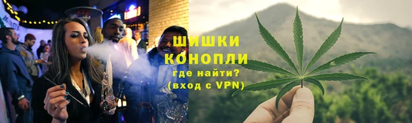 ПСИЛОЦИБИНОВЫЕ ГРИБЫ Каменногорск