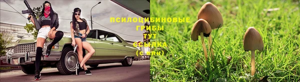 метадон Карталы