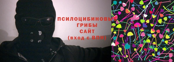 apvp Карпинск